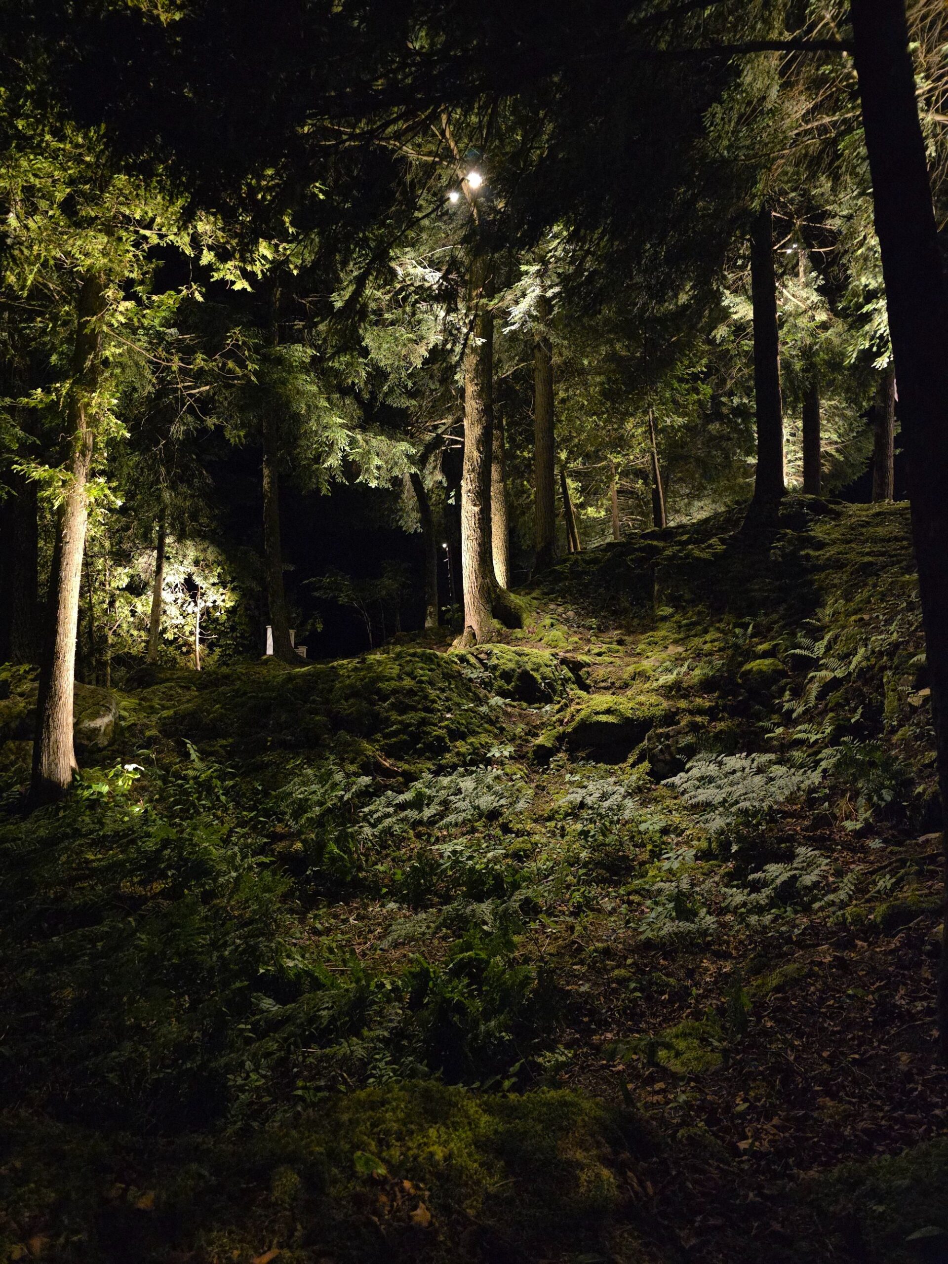Image d'éclairage paysager